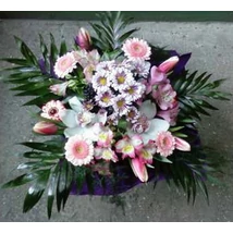 Pásztormadár dísze - Gerbera 02