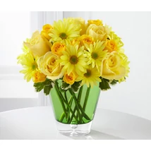 Császári kert - Gerbera 04