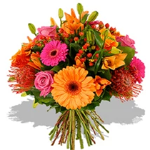 Szemtől szemben - Gerbera 06