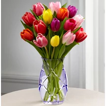 Szivárvány - Tulipáncsokor Szivárvány - Tulipáncsokor