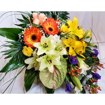 Flamingós - Vegyes 23