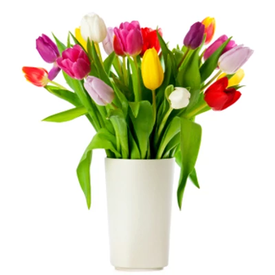 Anyák napjára - 15 szál tulipán